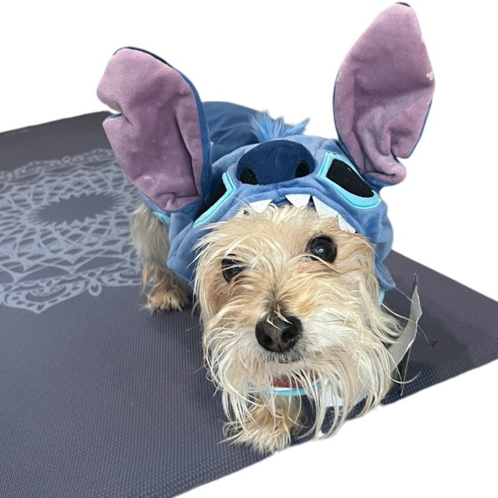Dog Stitch Costume